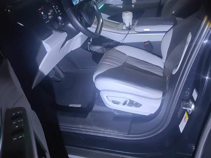 Фото 9 - XPeng G9