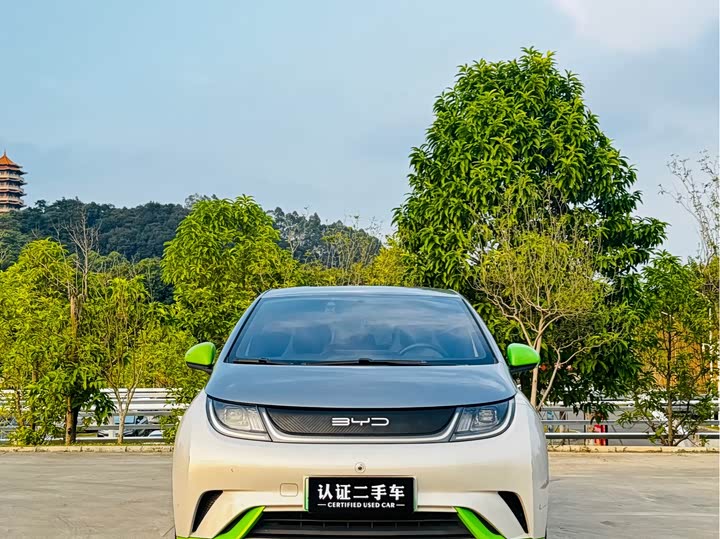 Фото 2 - BYD Dolphin