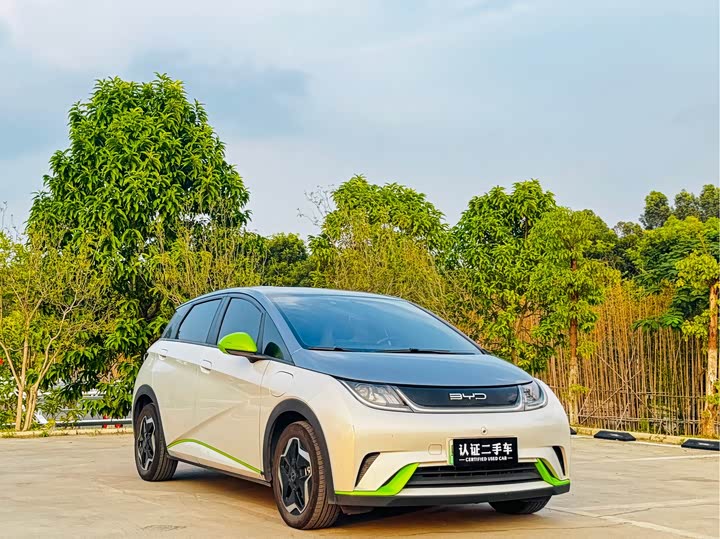 Фото 3 - BYD Dolphin