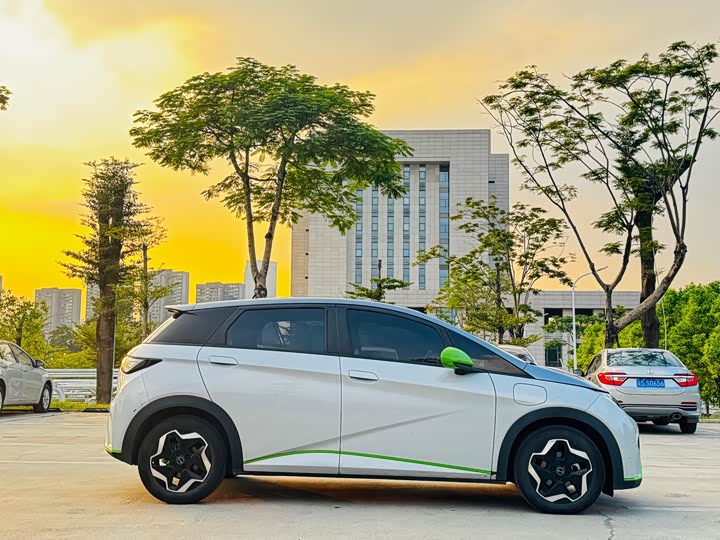 Фото 4 - BYD Dolphin