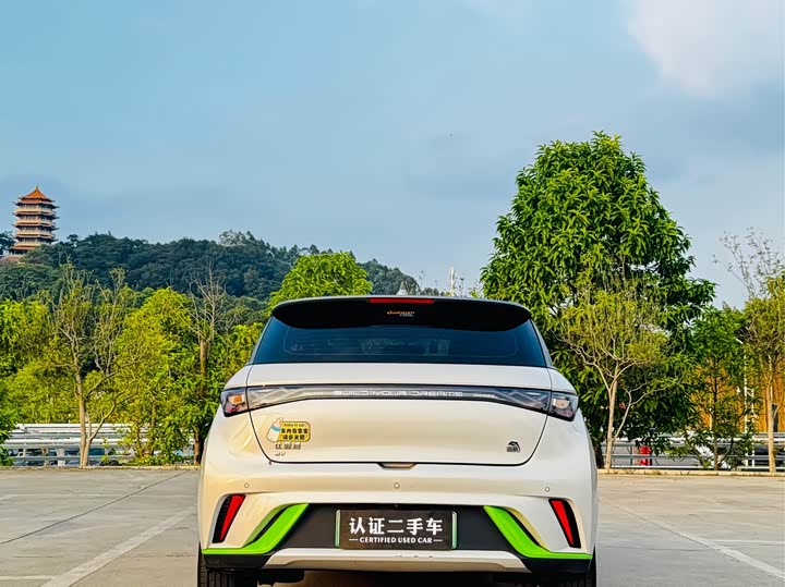 Фото 5 - BYD Dolphin