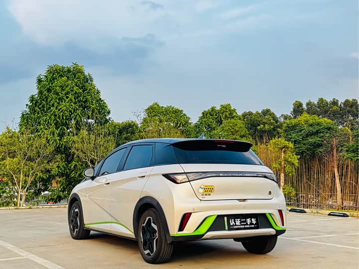 Фото 7 - BYD Dolphin