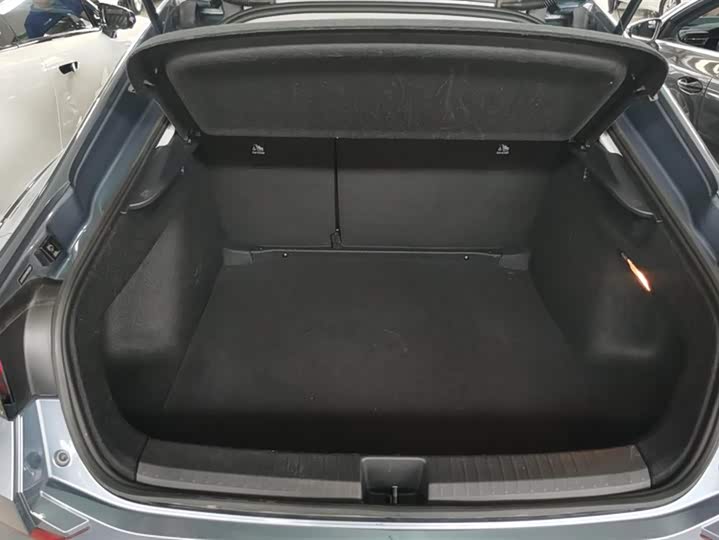 Фото 4 - Volkswagen Lamando L