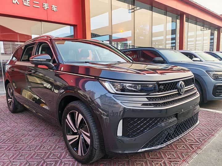 Фото 3 - Volkswagen Tavendor