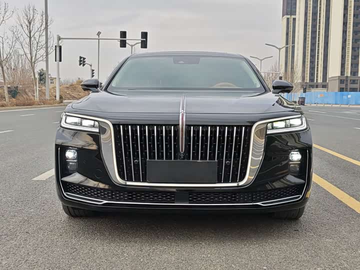 Фото 2 - Hongqi H9