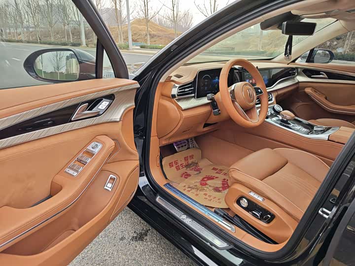 Фото 8 - Hongqi H9