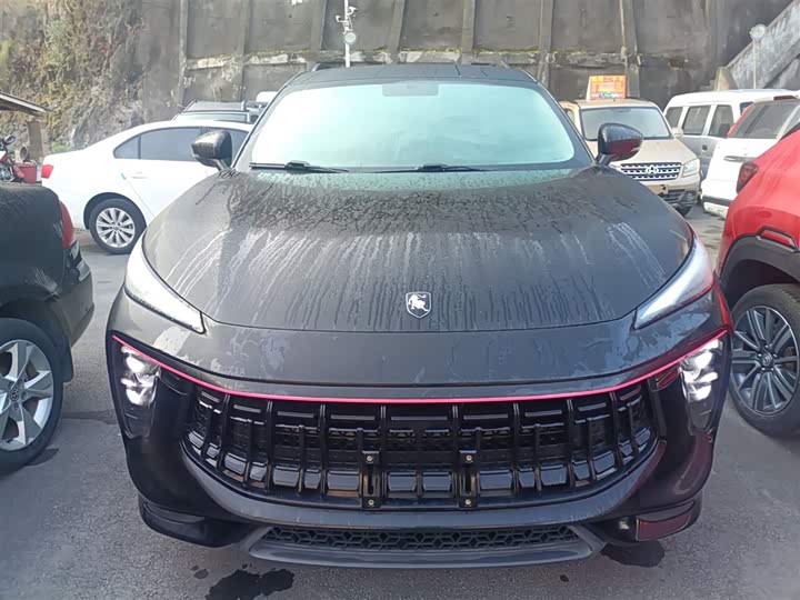 Фото 3 - Dongfeng Forthing T5 EVO