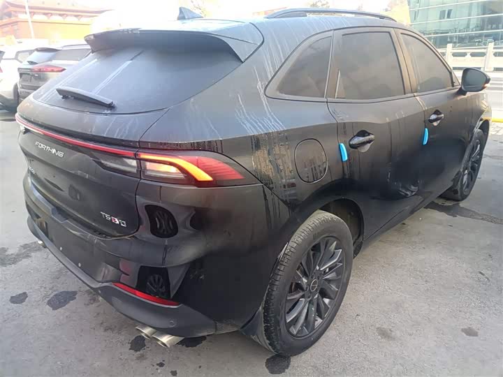 Фото 7 - Dongfeng Forthing T5 EVO