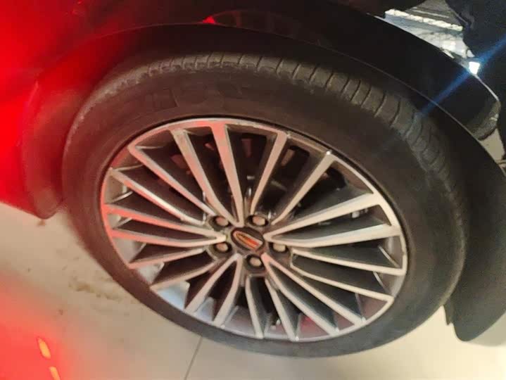 Фото 6 - Hongqi H9