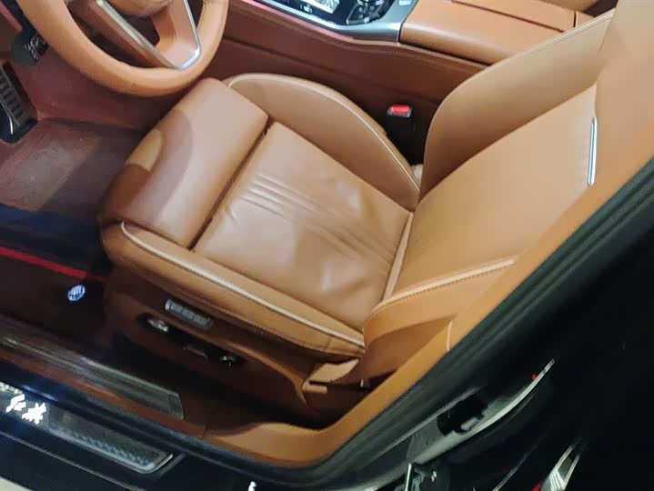 Фото 9 - Hongqi H9