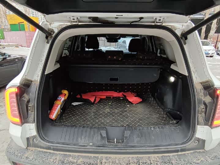 Фото 4 - Haval Dargo