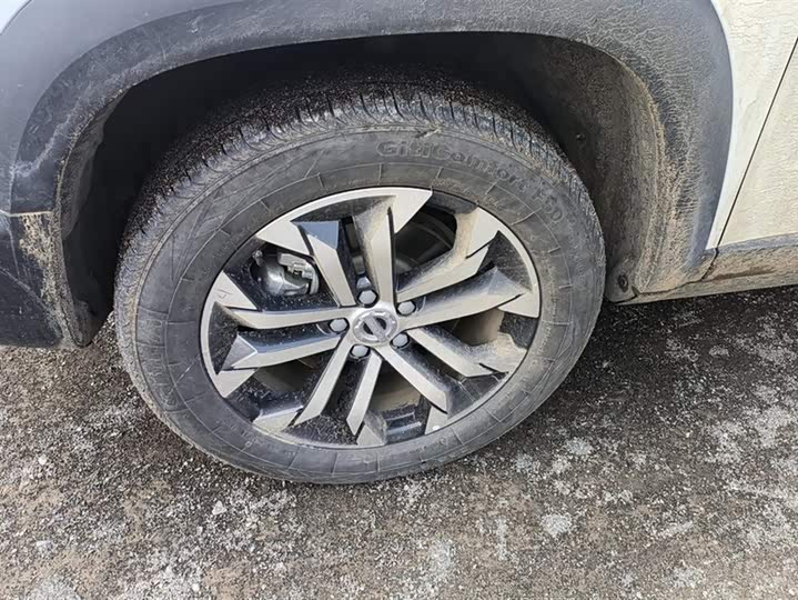 Фото 6 - Haval Dargo