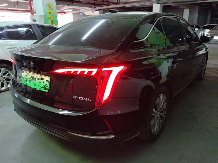 Фото 6 - Hongqi E-QM5