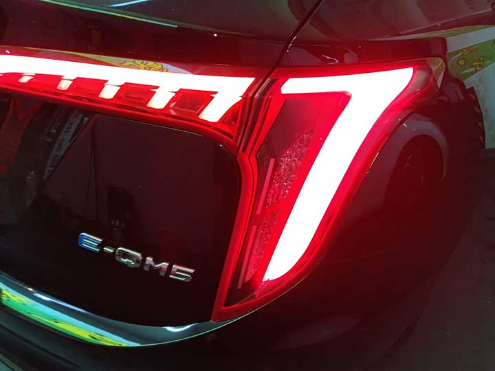 Фото 7 - Hongqi E-QM5