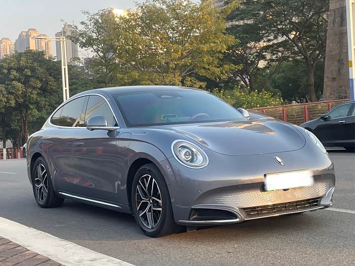 Фото 3 - Ora Lightning Cat (07)