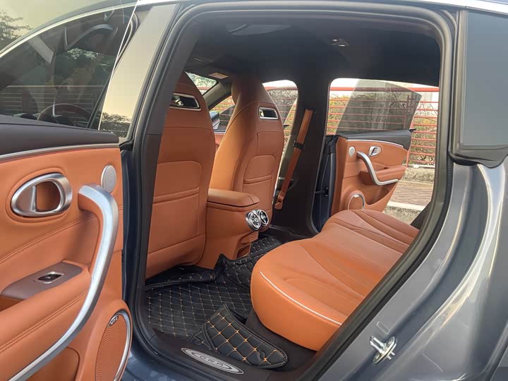 Фото 8 - Ora Lightning Cat (07)