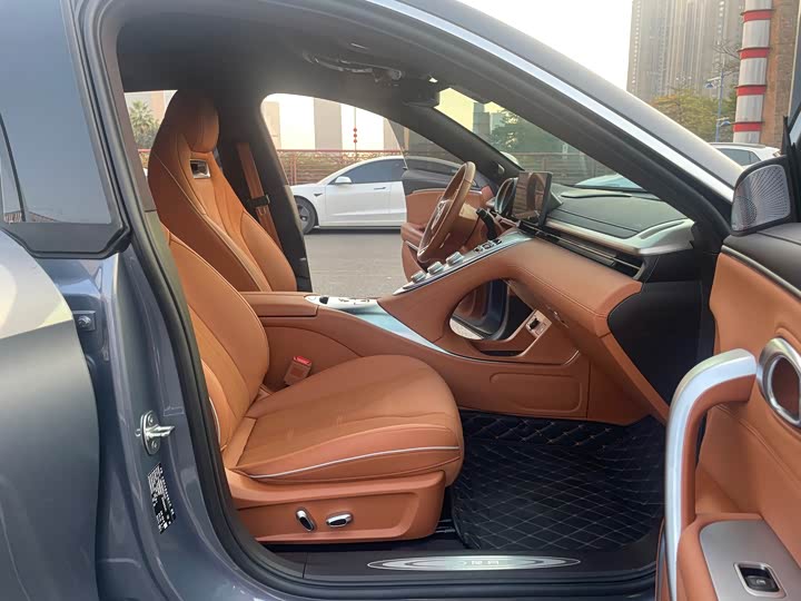 Фото 9 - Ora Lightning Cat (07)