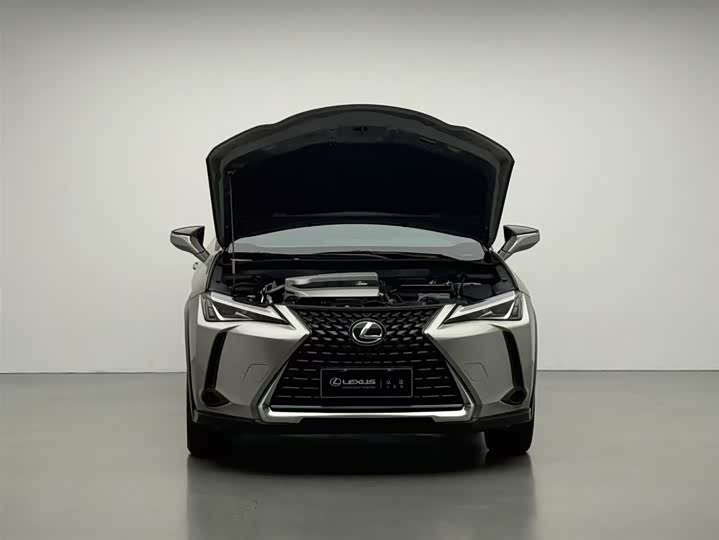 Фото 3 - Lexus UX