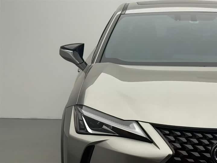 Фото 8 - Lexus UX