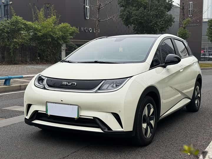 Фото 1 - BYD Dolphin