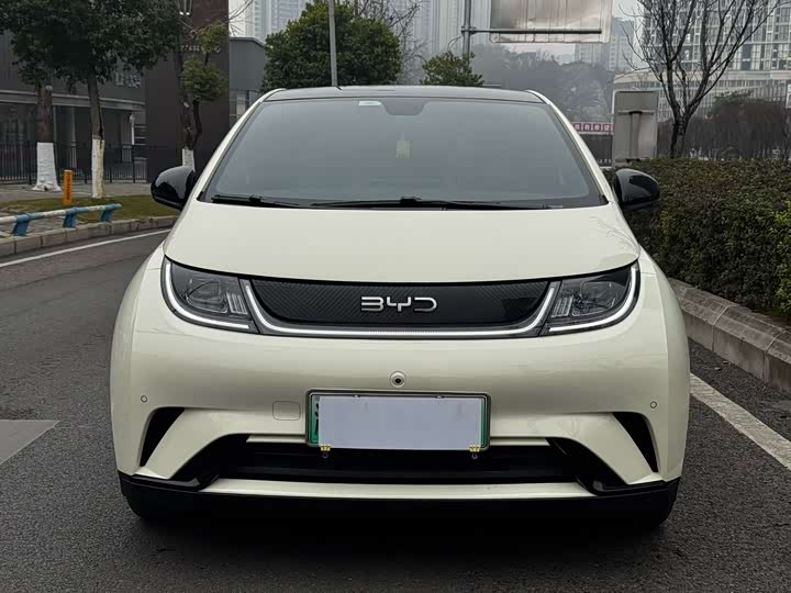 Фото 2 - BYD Dolphin