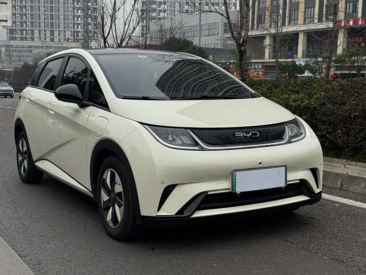 Фото 3 - BYD Dolphin