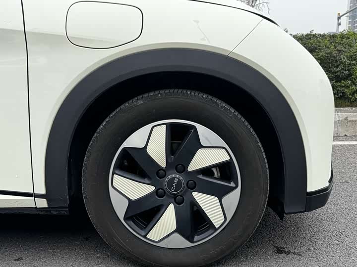 Фото 4 - BYD Dolphin