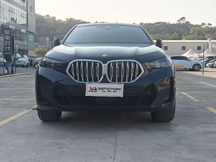 Фото 2 - BMW X6