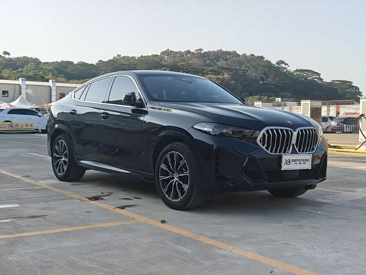 Фото 3 - BMW X6