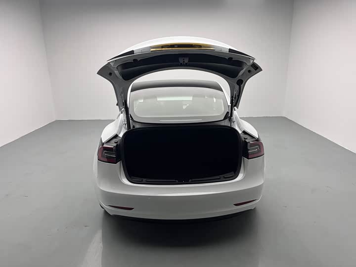 Фото 8 - Tesla Model 3