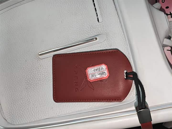 Фото 9 - XPeng F57