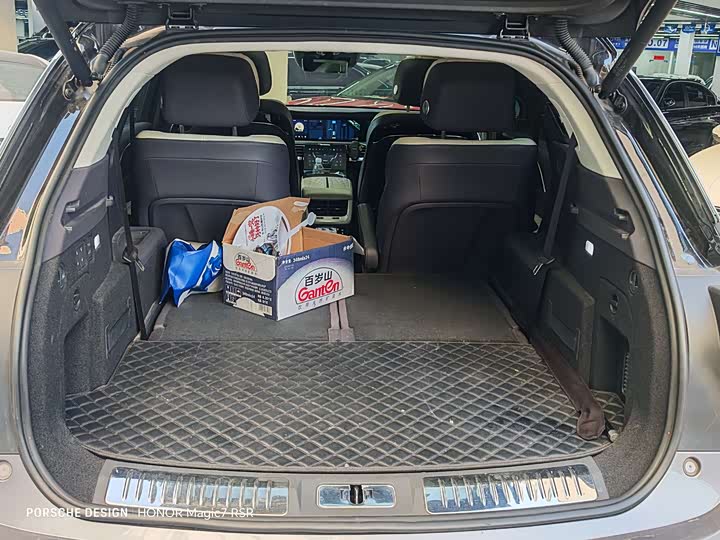 Фото 8 - Hongqi E-HS9