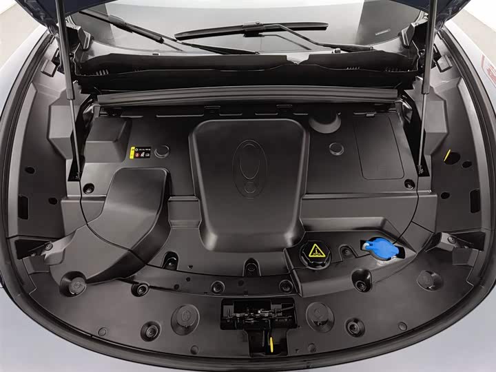 Фото 6 - Ora Lightning Cat (07)