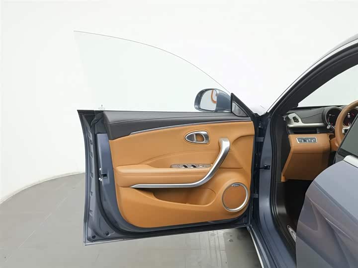 Фото 8 - Ora Lightning Cat (07)