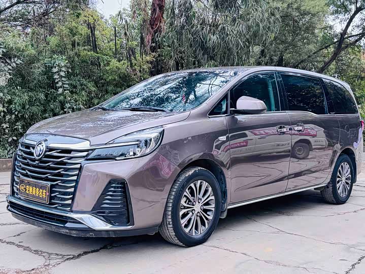 Фото 1 - Buick GL8 ES