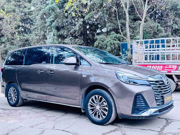 Фото 2 - Buick GL8 ES