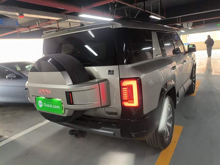 Фото 7 - BYD FangChengBao Leopard 8