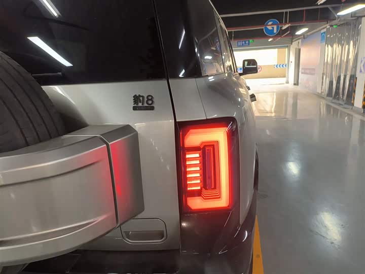 Фото 8 - BYD FangChengBao Leopard 8