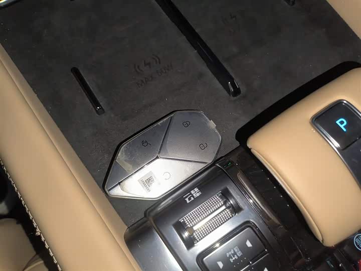 Фото 9 - BYD FangChengBao Leopard 8