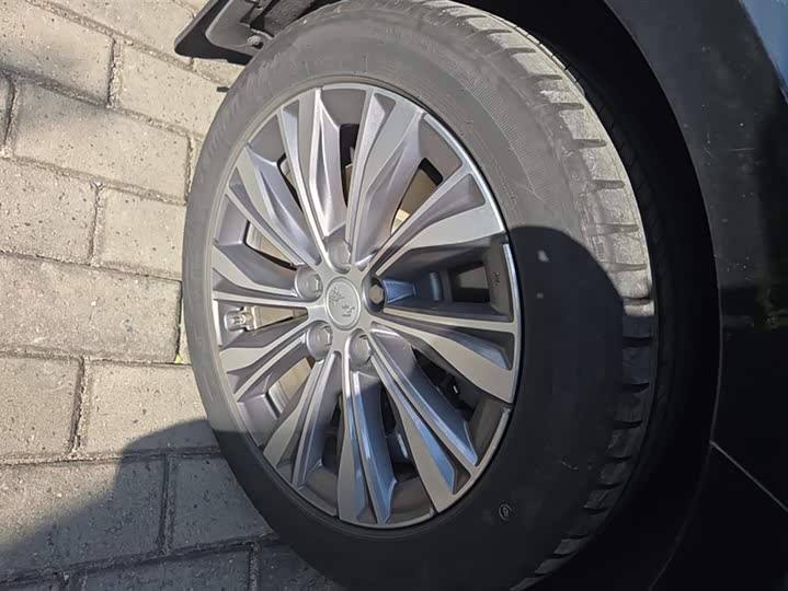 Фото 6 - Hongqi E-QM5