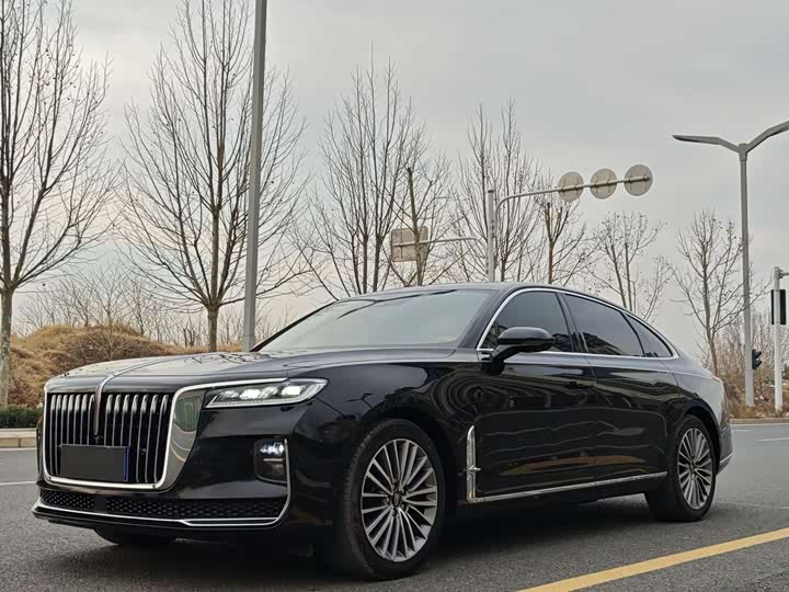 Фото 3 - Hongqi H9