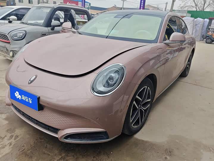 Фото 1 - Ora Lightning Cat (07)