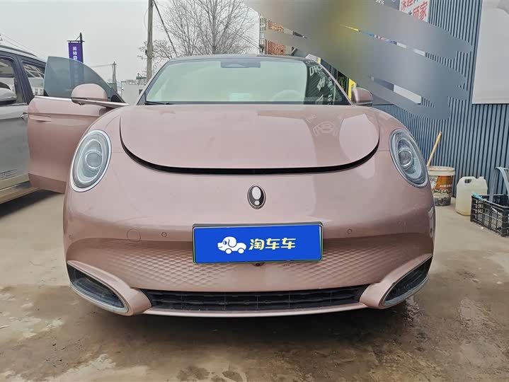 Фото 2 - Ora Lightning Cat (07)