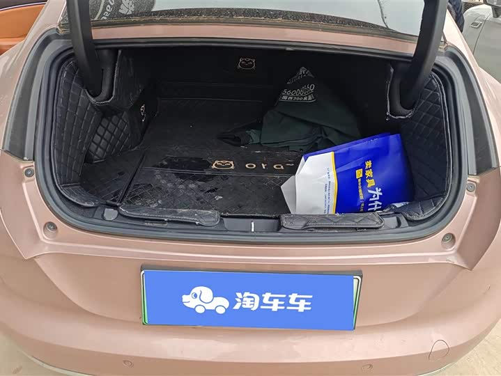 Фото 4 - Ora Lightning Cat (07)