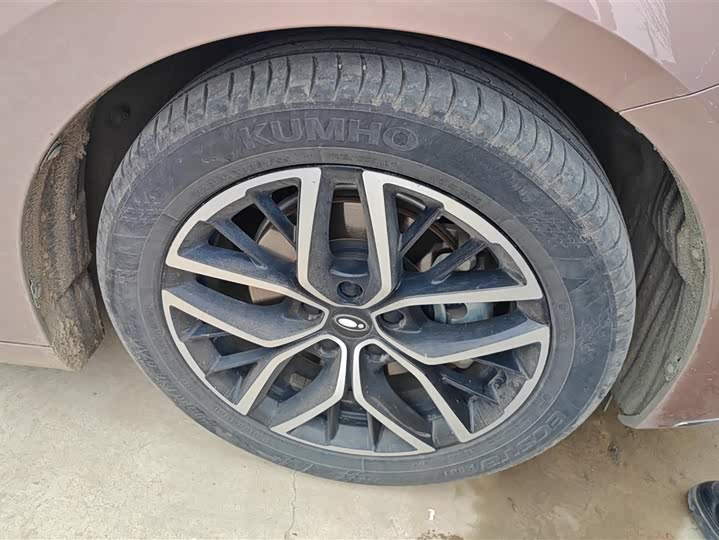 Фото 6 - Ora Lightning Cat (07)