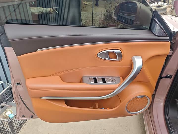 Фото 7 - Ora Lightning Cat (07)