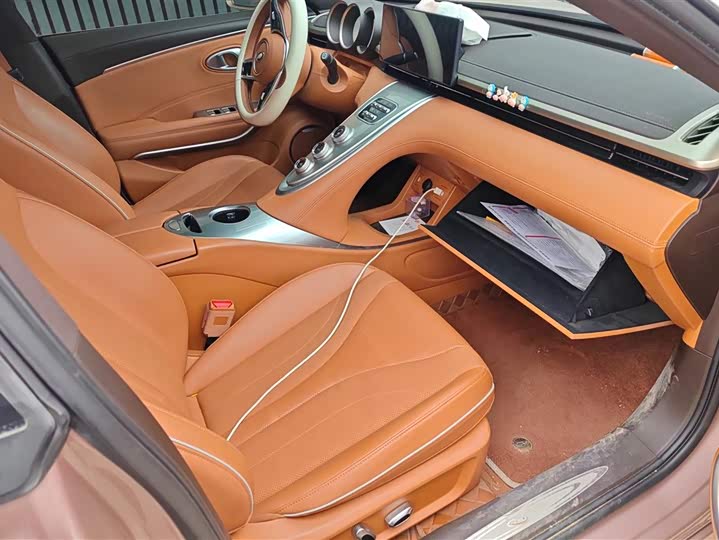 Фото 8 - Ora Lightning Cat (07)