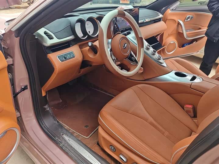 Фото 9 - Ora Lightning Cat (07)