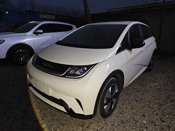 Фото 2 - BYD Dolphin