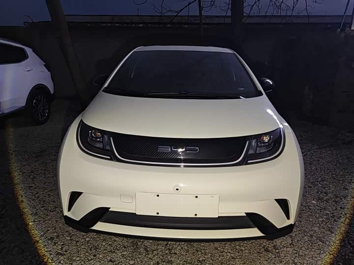 Фото 3 - BYD Dolphin